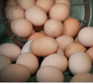 Living Well Ranch No egg shortages here